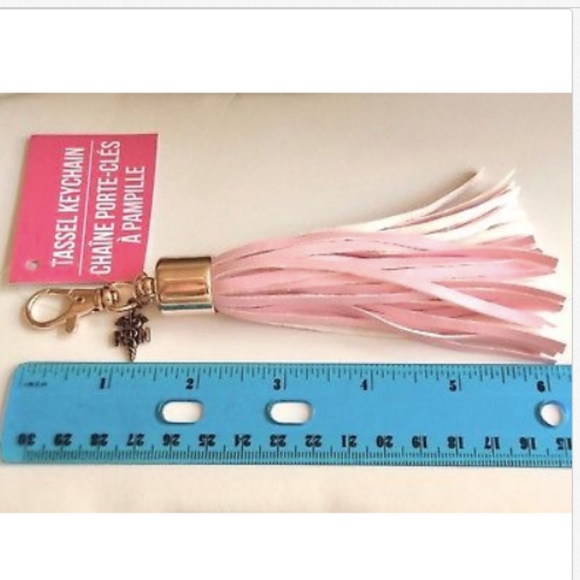 RN Caduceus Nursing Keychain Purse Charm Tassel Nurse Graduation Gift Zipper - Picture 7 of 8